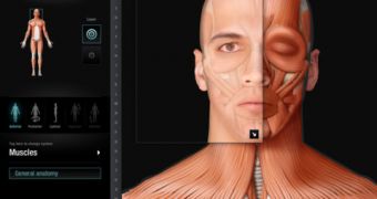 Virtual Human Body screenshot