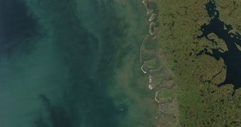 This section of the North Sea displays numerous shades of green, in this new Aqua MODIS image