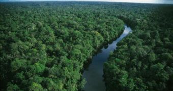 Small land owners in the Amazon threaten the rainforest there