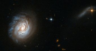 This Hubble image shows the MCG-03-04-014 starburst/monster galaxy
