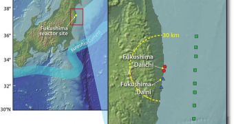 A new study analyzes levels of radioactivity released to the ocean in the Japan accident