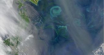 Boosting the growth of carbon dioxide-absorbing phytoplankton is also a leading geoengineering option