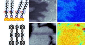 Simultaneously acquired images and polarizability maps of four different families of molecules