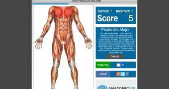 Anatomy Game Anatomicus