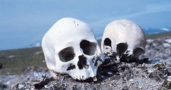 The newly-found Argentinian skulls hint at the fact that Northern Asians were the first populations to occupy the New World