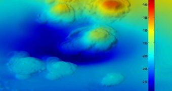 High-resolution bathymetry shows extinct asphalt volcanoes on the sea-floor off California