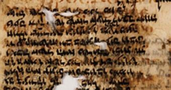 Ancient Bible Fragments Reveal Novelties