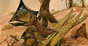 Long lost flying reptile sported an impressive crest
