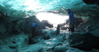Researchers investigate ancient forest that is emerging from under an Alaskan glacier