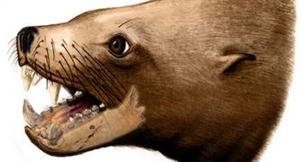 Killer walrus most likely ate fish, not mammals and birds