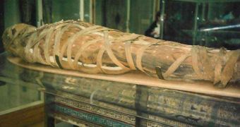 Ancient Mummies Had Clogged Arteries, Study Finds