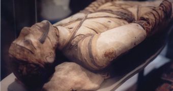 Extracting DNA from mummy-tissue samples proves to be extremely difficult, even with today's modern methods