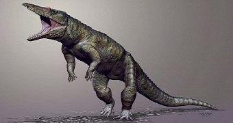 Ancient Reptile Dubbed the Carolina Butcher Could Walk on Its Hind Legs