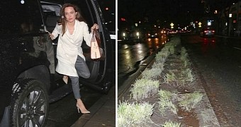 Angelina is left shaken after a car crash in Beverly Hills