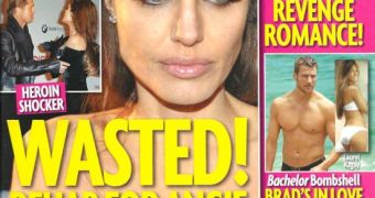 Star magazine claims Brad Pitt wants Angelina Jolie in rehab