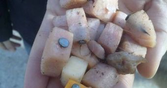 Nails in pieces of cheese found in Buenos Aires