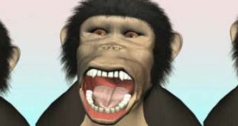 The animated chimps were developed so that they would fit the facial expression of an actual yawning chimpanzee