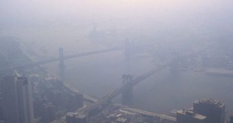 Pollution levels exceed 10 billion tons yearly