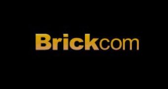 Anonymous hackers target Brickcom