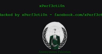Anonymous Pakistan Defaces 319 Websites
