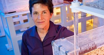 Biologist Deborah Gordon has been studying ants for more than 20 years