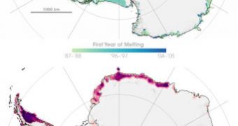 The constant decrease in ice that both poles show can only lead to higher sea levels worldwide
