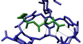 Image showing a peptide (green) tied to vancomycin