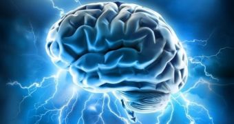 Researchers find evidence antipsychotic drugs encourage brain volume loss