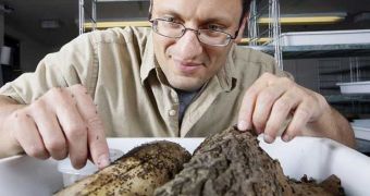 Grzegorz Buczkowski investigating a species of ants that produces massive colonies when given enough room