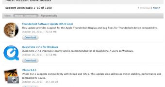 Several updates available on Apple's site. Topping the list is the Lion patch for Thunderbolt Display support