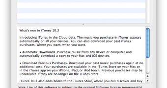 New iTunes 10.3.1 shows up in Software Update