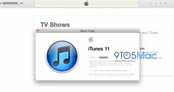 iTunes 11 (about) screenshot