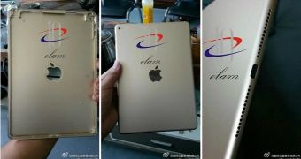 iPad Air leak case