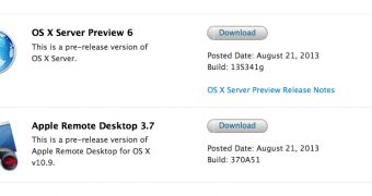 Apple offers up new OS X Server and Remote Desktop betas
