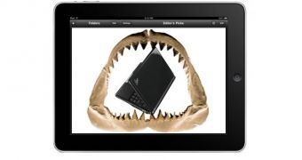 iPad cannibalizing netbook sales