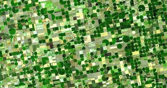 All of these crop fields draw their water from a single, massive aquifer