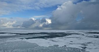 Scientists are finding some surprising results about sea ice in the Arctic