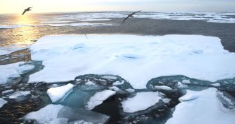 Arctic Ocean to Reach Minimum Yearly Extent Soon