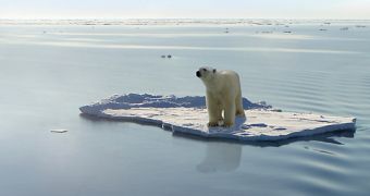 Climate change causes Arctic seas to absorb more carbon than they normally would