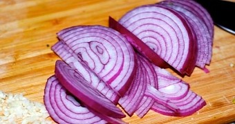 Scientists use onion cells to make artificial muscles