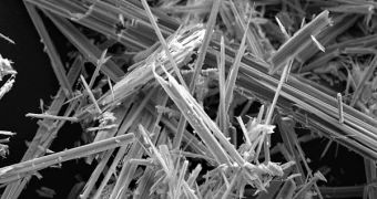 Scanning electron microscope picture of Anthophyllite asbestos
