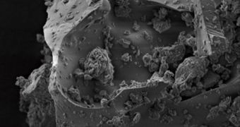 This SEM image shows the sharp edges of an ash particle produces during the eruption of the Eyjafjallajökull volcano, in April 2010