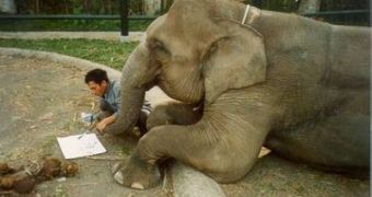 Asian elephant learns Korean, "talks" to its handlers