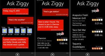 Ask Ziggy arrives on Windows Phone 8