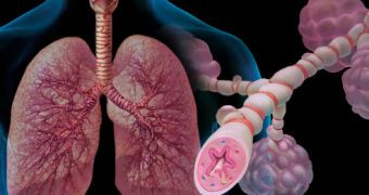 Exposure to organic pollutants ups asthma risk, researchers find