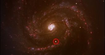 The supernova 2006X (in the red circle) is being fuelled by a nearby star in the red giant phase.
