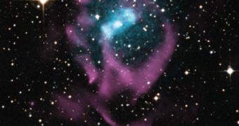 CXO image of Circinus X-1, the youngest X-ray binary system ever discovered