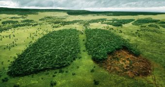 NASA data shows deforestation was on the rise in several countries across the world during the first quarter of 2014
