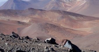 The Atacama is the driest desert in the world, yet microorganisms still manage to endure here