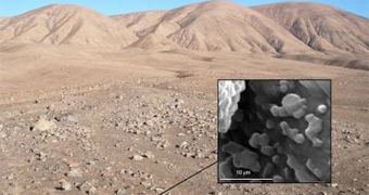 Microorganisms thrive even in the driest conditions on Earth